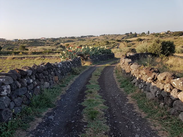 Land for sale in Trecastagni Campagna — 2