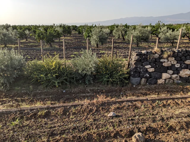 Land for sale in Ragalna Campagna — 5
