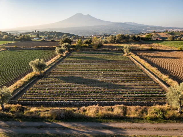 Land for sale in Mascalucia Campagna — 1