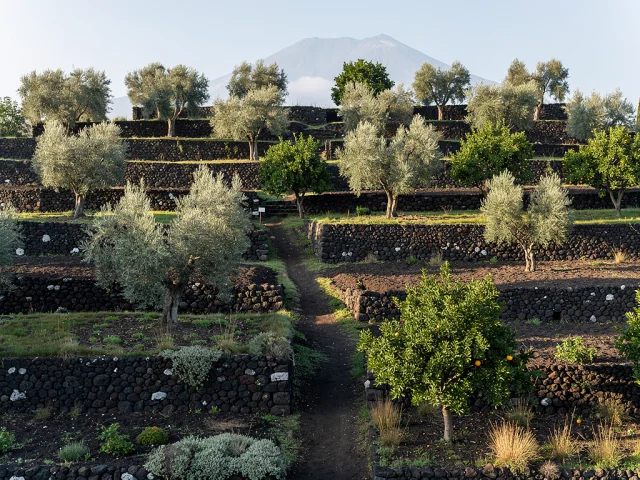 Land for sale in Ragalna Campagna — 3