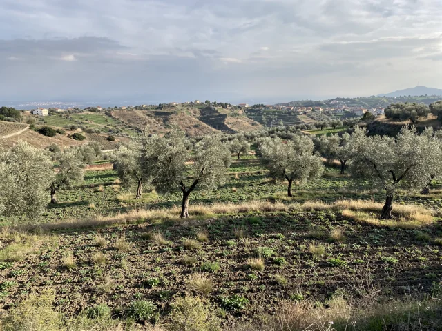 Land for sale in Nicolosi Campagna — 1