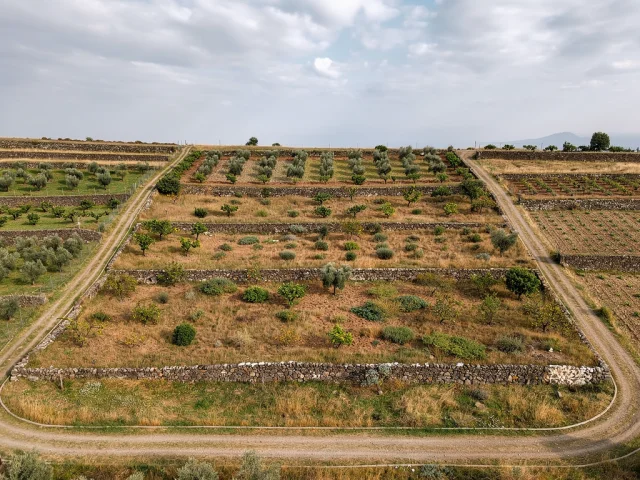 Land for sale in Trecastagni Campagna — 2