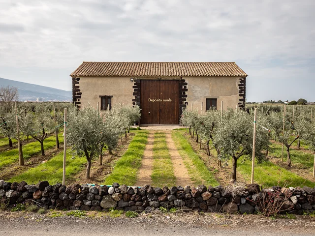 Farmette for sale in Belpasso Campagna — 3