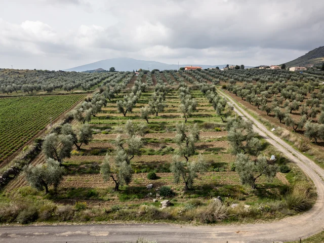 Land for sale in Nicolosi Campagna — 3