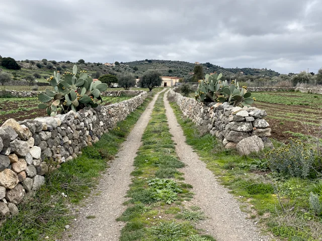 Farmette for sale in Belpasso Campagna — 2