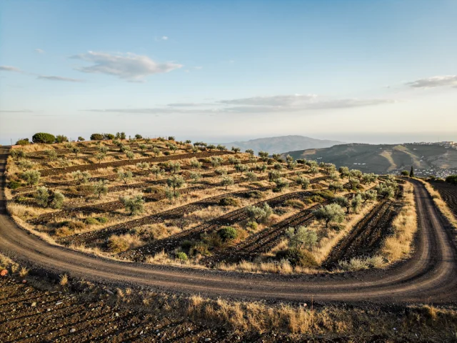 Land for sale in Trecastagni Campagna — 3