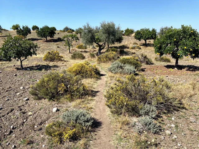 Land for sale in Nicolosi Campagna — 5