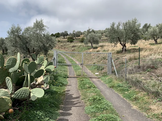 Land for sale in Nicolosi Campagna — 2
