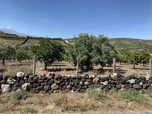 Land for sale in Nicolosi Campagna — 1