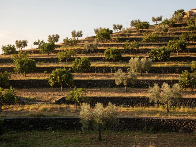 Land for sale in Paternò Campagna — 4