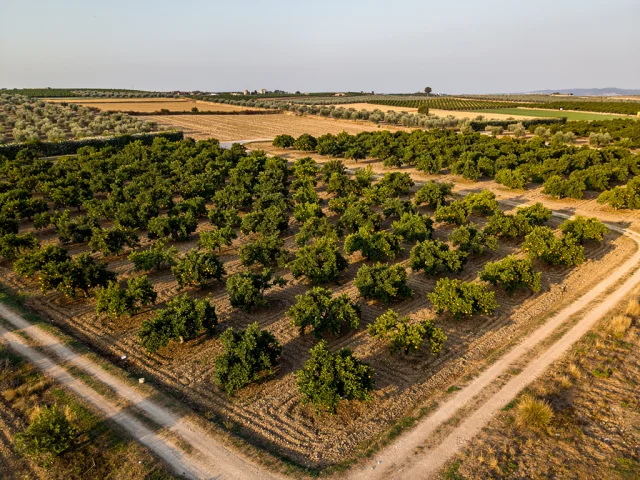 Land for sale in Paternò Campagna — 3