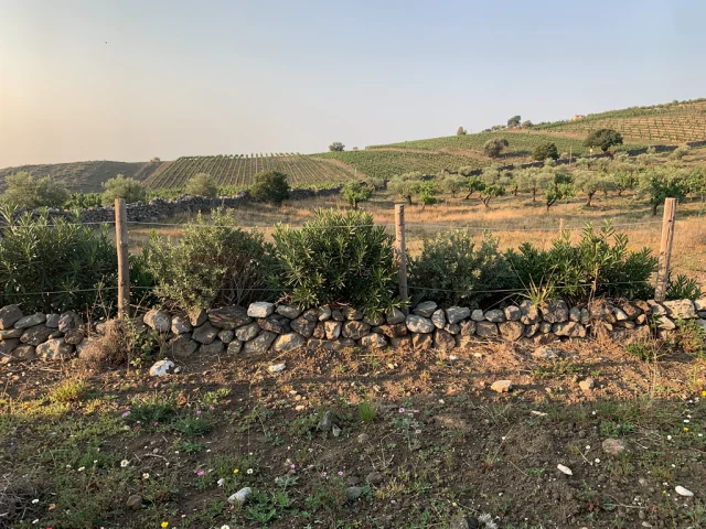 Land for sale in Trecastagni Campagna — 1