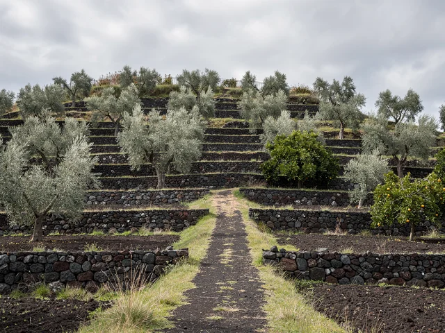 Land for sale in Nicolosi Campagna — 4