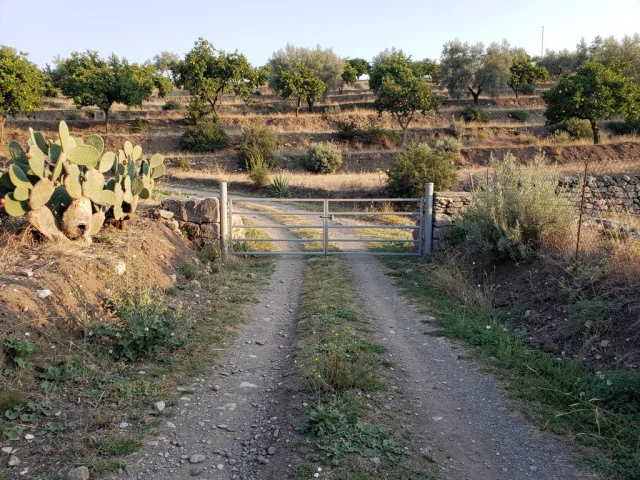 Land for sale in Ragalna Campagna — 1