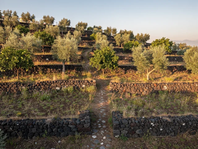 Land for sale in Trecastagni Campagna — 4