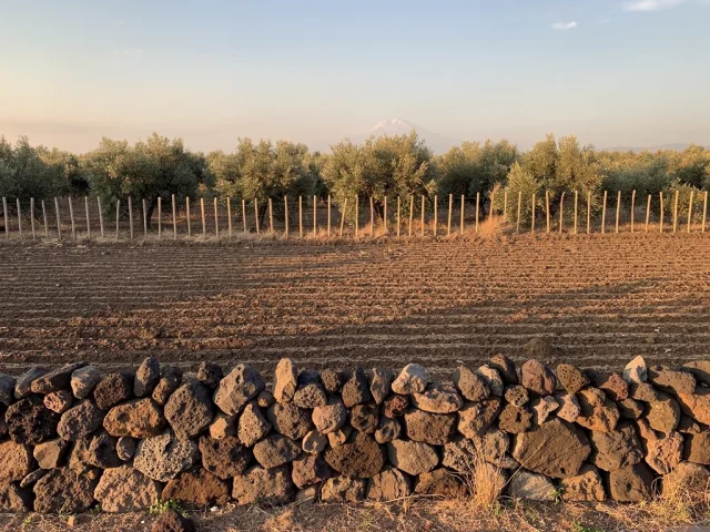 Land for sale in Pedara Campagna — 1
