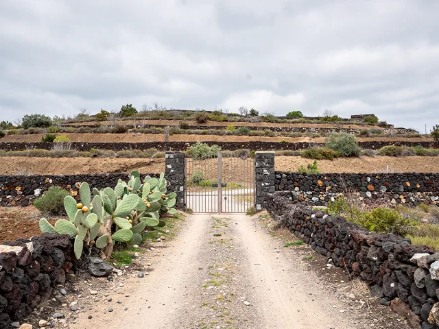 Land for sale in Trecastagni Campagna — 1