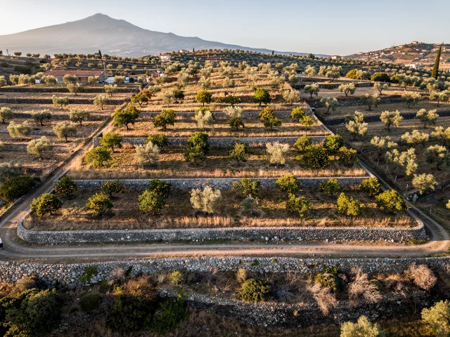 Land for sale in Ragalna Campagna — 2