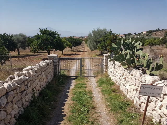 Land for sale in Nicolosi Campagna — 2