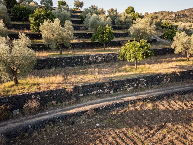 Land for sale in Pedara Campagna — 4