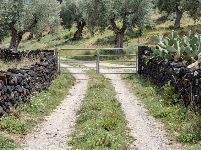 Farmette for sale in Belpasso Campagna — 2