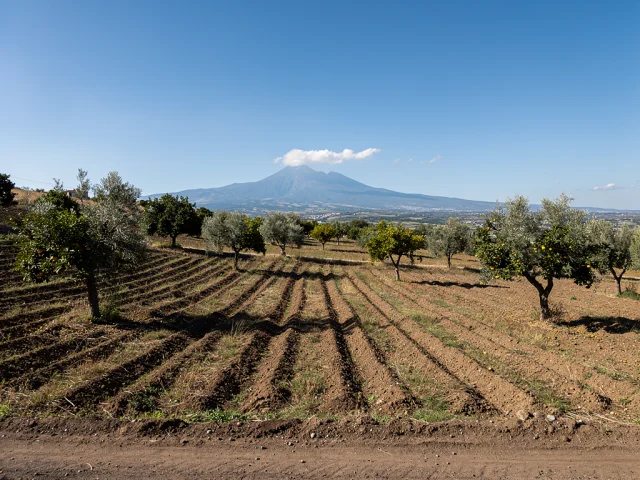 Land for sale in Nicolosi Campagna — 3