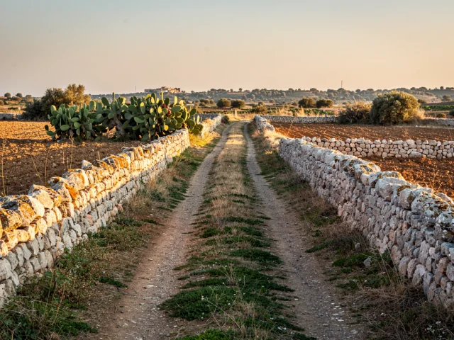 Land for sale in Pedara Campagna — 2