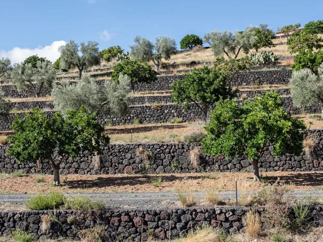 Land for sale in Nicolosi Campagna — 4