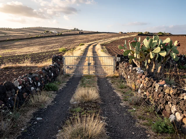 Azienda agricola in vendita a Belpasso Campagna — 1