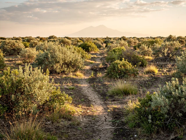 Land for sale in Pedara Campagna — 5