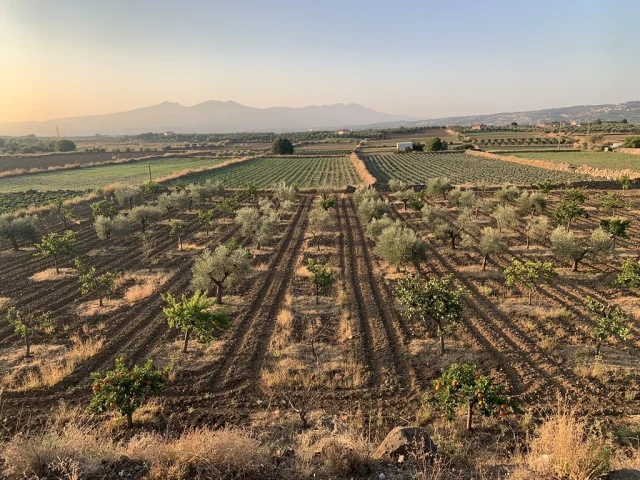 Land for sale in Pedara Campagna — 3